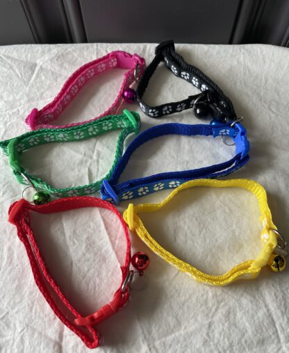 Dog Collars