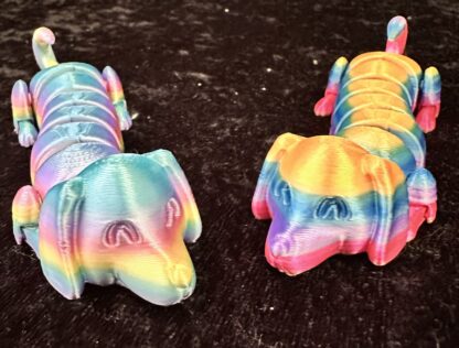 Rainbow Dachshund